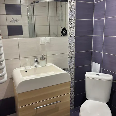 农家乐 Doboszowka Lasowka